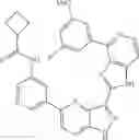 Fig. 951 - 3-(1H-imidazo[4,5-C]pyridin-2-yl)-1H-pyrazolo[4,3-B]pyridines and therapeutic uses thereof