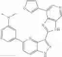 Fig. 294 - 3-(3H-imidazo[4,5-C]pyridin-2-yl)-1 H-pyrazolo[4,3-B]pyridines and therapeutic uses thereof