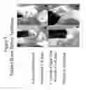Fig. 06 - Silicate containing compositions and methods of treatment