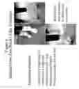 Fig. 07 - Silicate containing compositions and methods of treatment