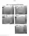Fig. 06 - OPHTHALMIC COMPOSITIONS FOR THERAPEUTIC AND PROPHYLACTIC USES
