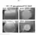 Fig. 07 - OPHTHALMIC COMPOSITIONS FOR THERAPEUTIC AND PROPHYLACTIC USES
