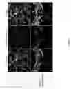Fig. 02 - SCAFFOLD FOR GROWING NEURONAL CELLS AND TISSUE