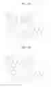 Fig. 02 - Pharmaceutical composition for preventing or treating mycobacterium species infection and method using the same