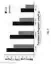 Fig. 07 - Antimicrobial fusion peptides