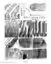 Fig. 06 - Method for identifying, expanding, and removing adult stem cells and cancer stem cells