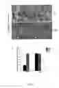 Fig. 08 - Method for identifying, expanding, and removing adult stem cells and cancer stem cells