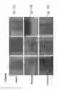 Fig. 22 - Methods and pharmaceutical compositions for improving wound healing using CD24