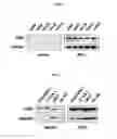 Fig. 02 - Polypeptide having chemokine activity and uses thereof