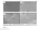 Fig. 07 - Articular Cartilage Mimetics