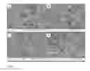 Fig. 08 - Articular Cartilage Mimetics