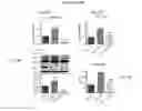 Fig. 09 - Modified NK Cells and Uses Thereof
