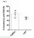 Fig. 06 - Immunogenic compositions, antigen screening methods, and methods of generating immune responses