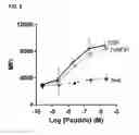 Fig. 07 - Immunogenic compositions, antigen screening methods, and methods of generating immune responses
