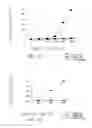 Fig. 06 - Vaccine composition containing synthetic adjuvant