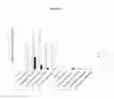 Fig. 02 - METHODS TO ALTER THE TUMOR MICROENVIRONMENT FOR EFFECTIVE CANCER IMMUNOTHERAPY
