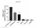 Fig. 08 - METHODS TO ALTER THE TUMOR MICROENVIRONMENT FOR EFFECTIVE CANCER IMMUNOTHERAPY