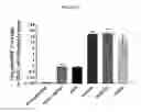 Fig. 09 - METHODS TO ALTER THE TUMOR MICROENVIRONMENT FOR EFFECTIVE CANCER IMMUNOTHERAPY