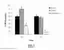 Fig. 02 - Silylated biomolecule-based hydrogel for culturing cardiomyocytes and stem cells, and use of the hydrogel thereof for treating heart failure