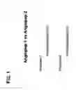 Fig. 02 - POTENTIATION OF ANTICANCER AGENTS