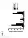 Fig. 09 - POTENTIATION OF ANTICANCER AGENTS