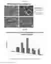 Fig. 22 - SSTR-targeted conjugates and particles and formulations thereof