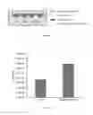 Fig. 06 - Sustained release nanocomposite, a process for producing the same and use thereof
