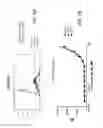 Fig. 08 - Extension sequences for diabodies