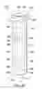 Fig. 08 - Syringe systems and methods for multi-stage fluid delivery