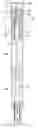 Fig. 01 - INJECTION DEVICE