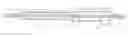Fig. 01 - Balloon catheter