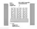 Fig. 01 - Compositions comprising nanostructures for cell, tissue and artificial organ growth, and methods for making and using same