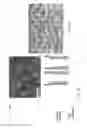 Fig. 06 - Compositions comprising nanostructures for cell, tissue and artificial organ growth, and methods for making and using same
