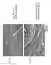 Fig. 07 - Compositions comprising nanostructures for cell, tissue and artificial organ growth, and methods for making and using same