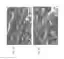 Fig. 08 - Compositions comprising nanostructures for cell, tissue and artificial organ growth, and methods for making and using same