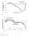 Fig. 09 - Functional electrical stimulation