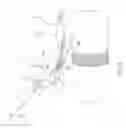 Fig. 19 - Systems and methods for restoring muscle function to the lumbar spine and kits for implanting the same