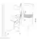 Fig. 20 - Systems and methods for restoring muscle function to the lumbar spine and kits for implanting the same