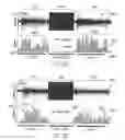 Fig. 09 - System and method to control a non-paresthesia stimulation based on sensory action potentials