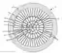 Fig. 01 - High-performance, low-stress support structure with membrane