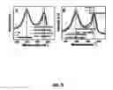 Fig. 10 - REDUCED GRAPHENE OXIDE-BASED-COMPOSITES FOR THE PURIFICATION OF WATER