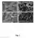 Fig. 02 - Preparation and application of silver-modified spiral titanium dioxide nano-fiber photocatalyst