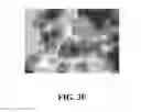 Fig. 09 - Multiphasic titanium dioxide photocatalyst for the reduction of carbon dioxide
