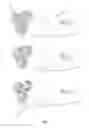Fig. 02 - BEARD TRIMMER WITH ONE OR MORE ROTARY HEADS HAVING A FIXED BLADE WITH A PARTICULAR SHAPE
