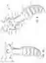 Fig. 06 - Dual head and guard knife