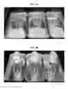 Fig. 06 - Encapsulated stabilizer compositions