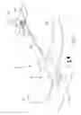 Fig. 02 - Aircraft system for reduced observer visibility