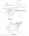 Fig. 02 - AIRCRAFT ENGINE PYLON WITH INBUILT MULTIFUNCTIONAL FRAMEWORK