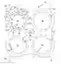 Fig. 01 - Carton and blank therefor