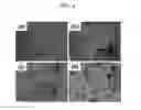 Fig. 05 - Angle-independent colloidal particles-based structure and method for producing the same